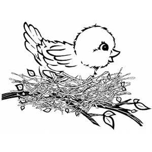 ぬりえページ: 鳥 (動物) #11952 - 無料の印刷可能なぬりえページ