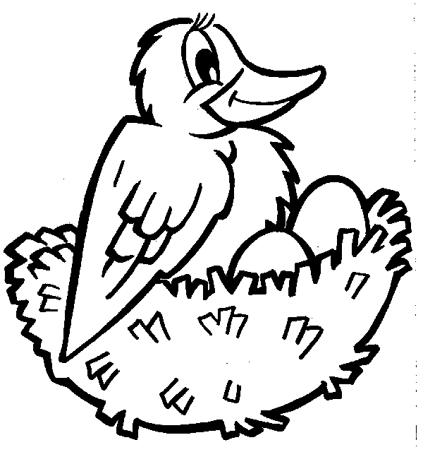 ぬりえページ: 鳥 (動物) #11958 - 無料の印刷可能なぬりえページ