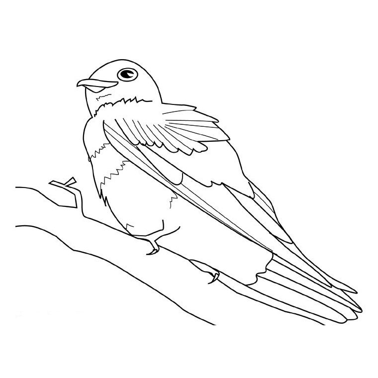 ぬりえページ: 鳥 (動物) #11962 - 無料の印刷可能なぬりえページ
