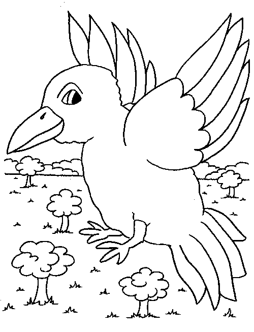 ぬりえページ: 鳥 (動物) #11967 - 無料の印刷可能なぬりえページ