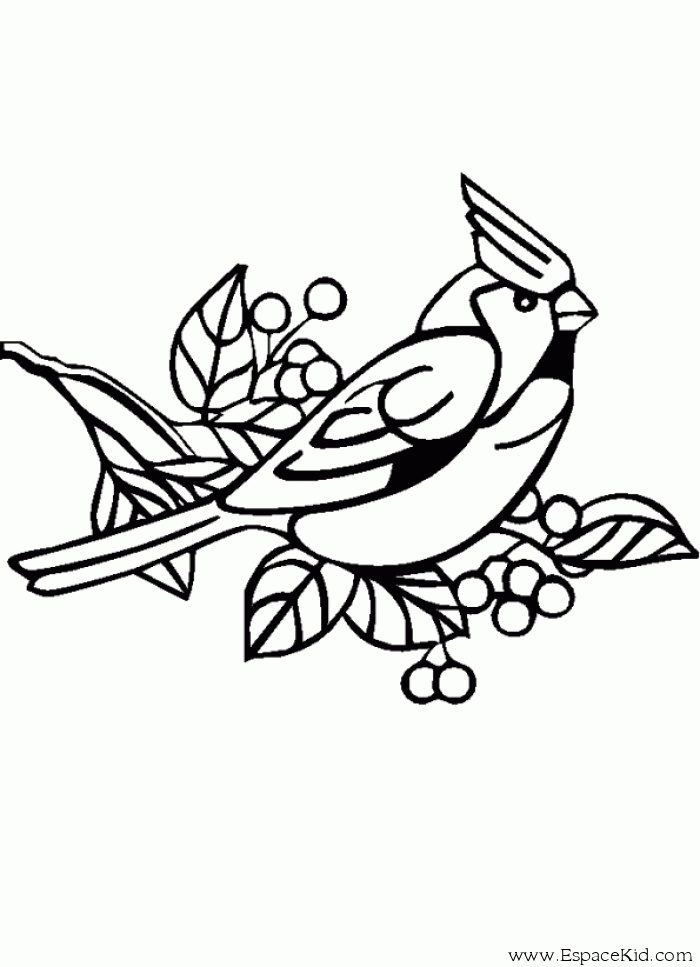 ぬりえページ: 鳥 (動物) #11969 - 無料の印刷可能なぬりえページ
