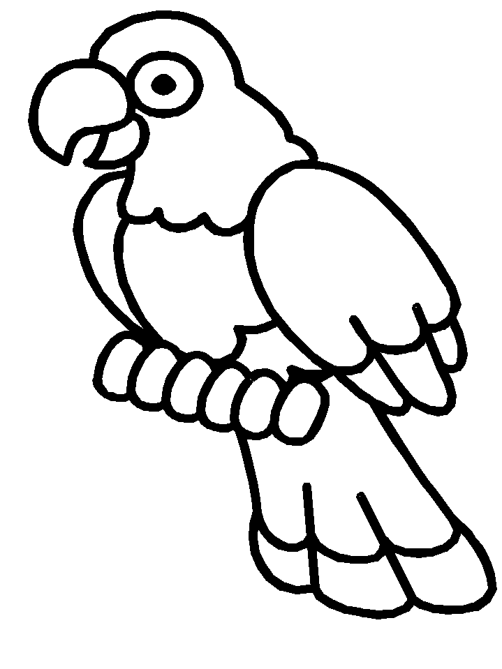 ぬりえページ: 鳥 (動物) #11975 - 無料の印刷可能なぬりえページ