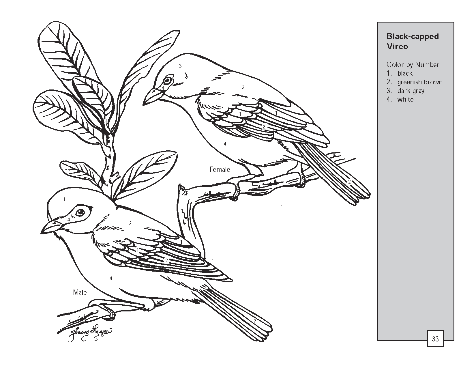 ぬりえページ: 鳥 (動物) #11981 - 無料の印刷可能なぬりえページ