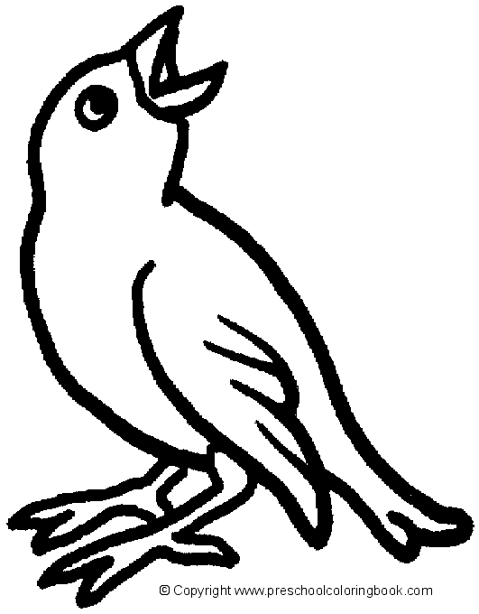 ぬりえページ: 鳥 (動物) #11983 - 無料の印刷可能なぬりえページ