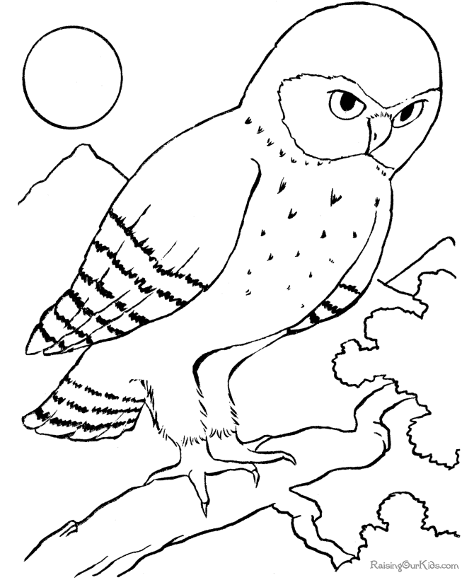 ぬりえページ: 鳥 (動物) #11990 - 無料の印刷可能なぬりえページ