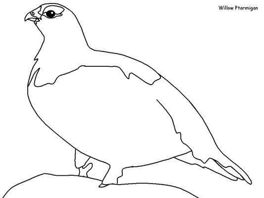 ぬりえページ: 鳥 (動物) #11991 - 無料の印刷可能なぬりえページ