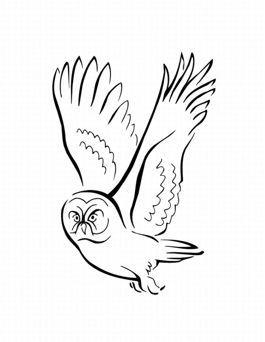 ぬりえページ: 鳥 (動物) #11992 - 無料の印刷可能なぬりえページ