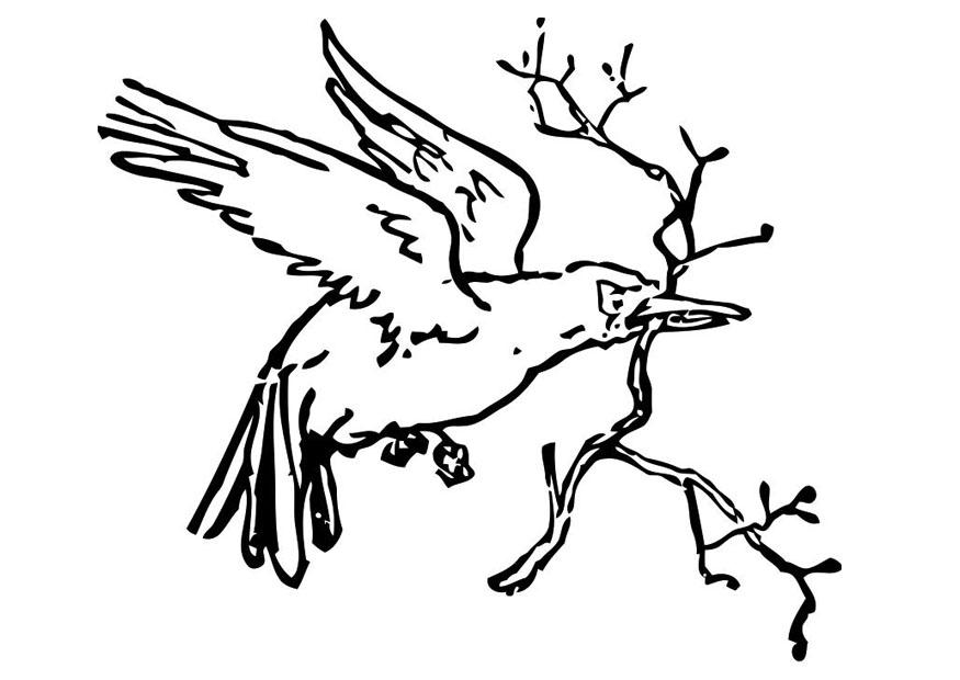 ぬりえページ: 鳥 (動物) #12006 - 無料の印刷可能なぬりえページ