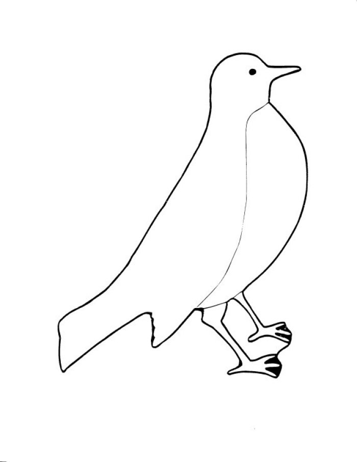 ぬりえページ: 鳥 (動物) #12011 - 無料の印刷可能なぬりえページ