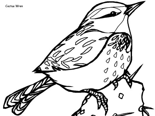 ぬりえページ: 鳥 (動物) #12026 - 無料の印刷可能なぬりえページ