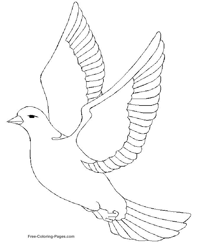 ぬりえページ: 鳥 (動物) #12028 - 無料の印刷可能なぬりえページ