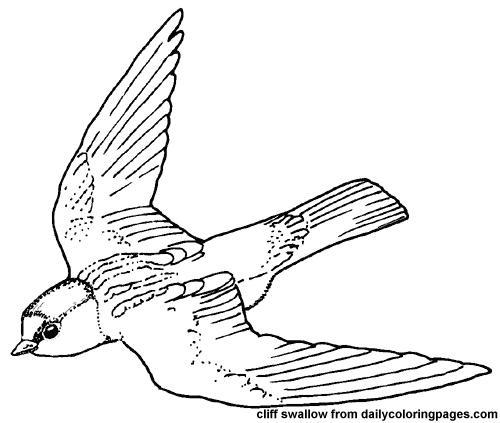 ぬりえページ: 鳥 (動物) #12029 - 無料の印刷可能なぬりえページ