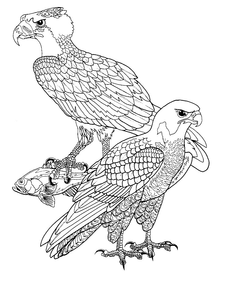ぬりえページ: 鳥 (動物) #12053 - 無料の印刷可能なぬりえページ