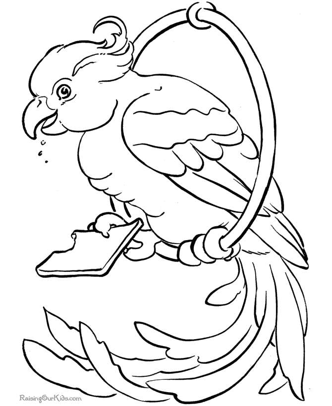 ぬりえページ: 鳥 (動物) #12065 - 無料の印刷可能なぬりえページ