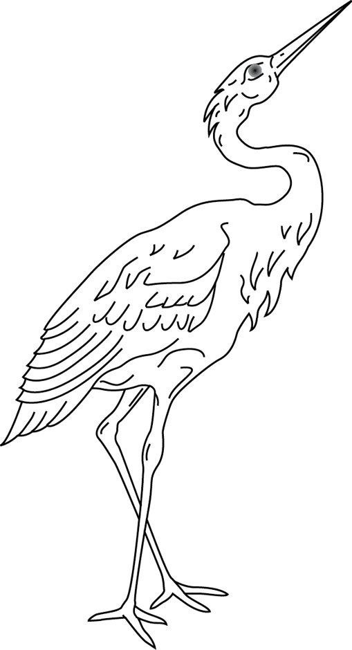 ぬりえページ: 鳥 (動物) #12067 - 無料の印刷可能なぬりえページ