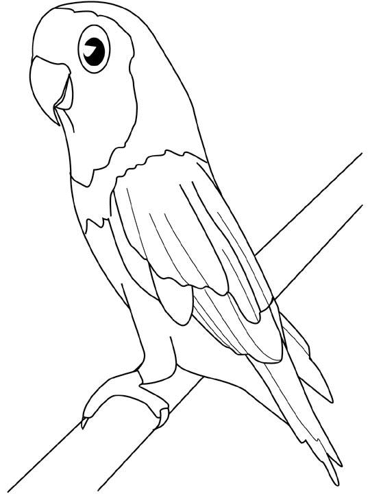 ぬりえページ: 鳥 (動物) #12084 - 無料の印刷可能なぬりえページ