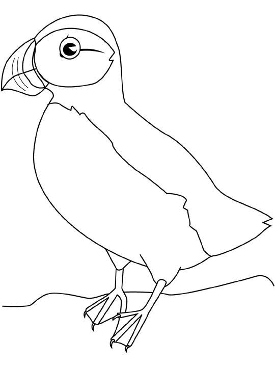 ぬりえページ: 鳥 (動物) #12098 - 無料の印刷可能なぬりえページ