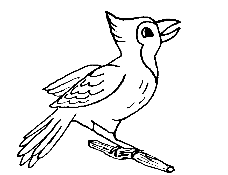 ぬりえページ: 鳥 (動物) #12112 - 無料の印刷可能なぬりえページ