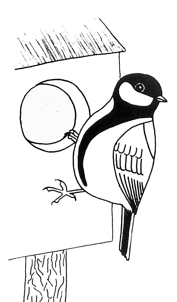 ぬりえページ: 鳥 (動物) #12125 - 無料の印刷可能なぬりえページ