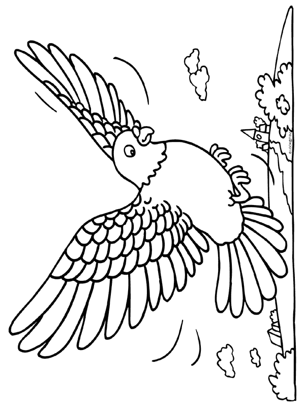 ぬりえページ: 鳥 (動物) #12132 - 無料の印刷可能なぬりえページ