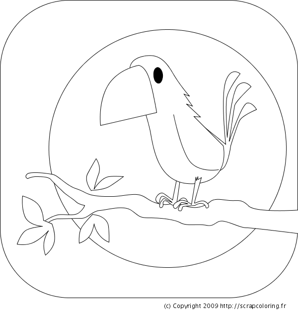 ぬりえページ: 鳥 (動物) #12139 - 無料の印刷可能なぬりえページ