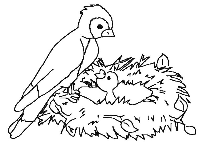 ぬりえページ: 鳥 (動物) #12145 - 無料の印刷可能なぬりえページ