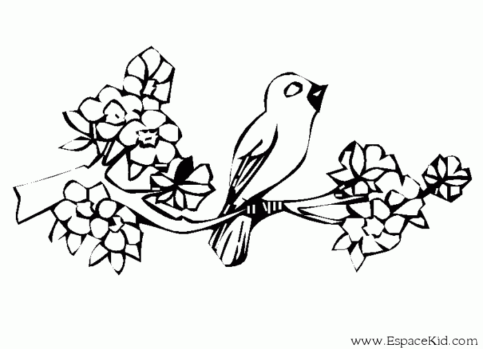 ぬりえページ: 鳥 (動物) #12147 - 無料の印刷可能なぬりえページ