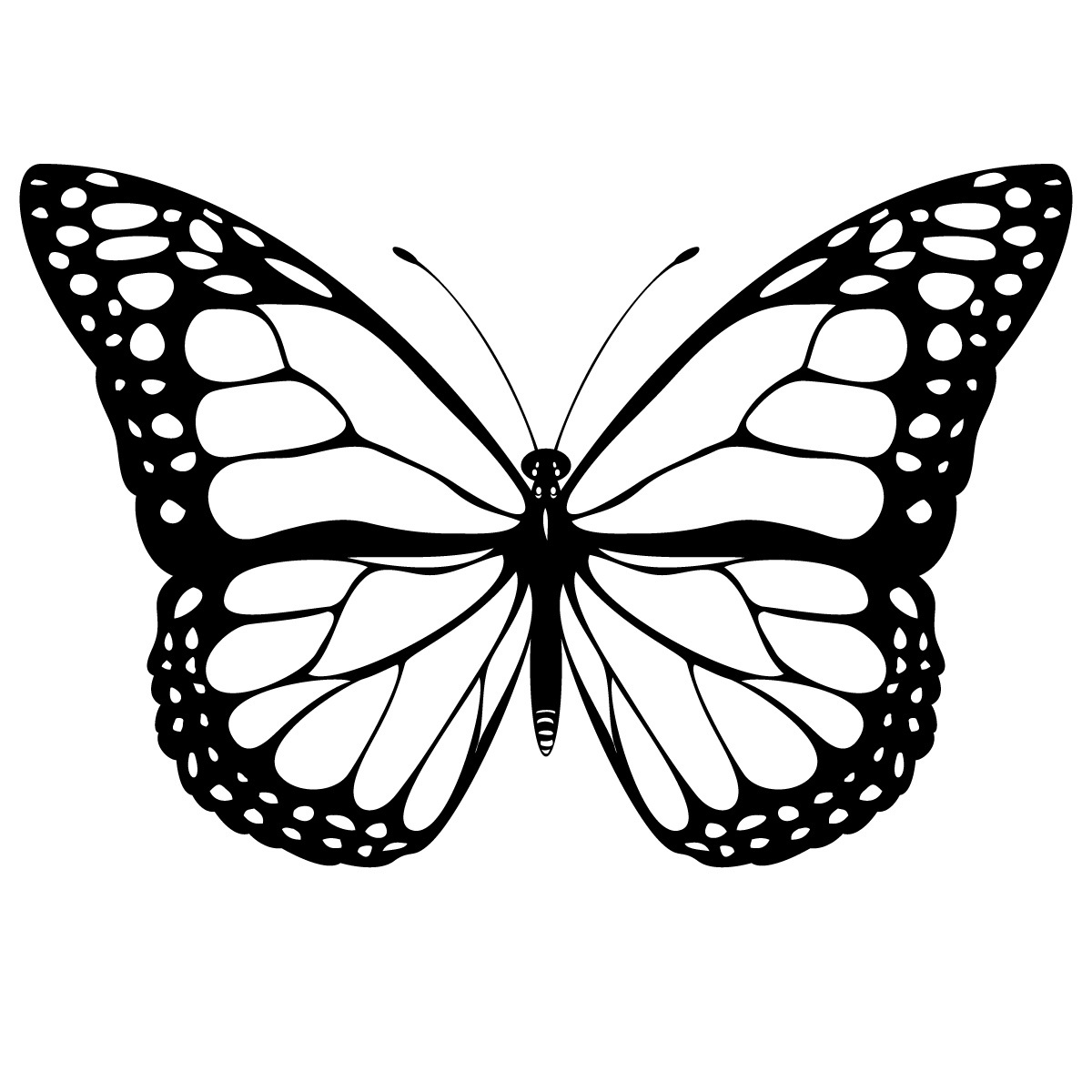 ぬりえページ: 蝶 (動物) #15662 - 無料の印刷可能なぬりえページ