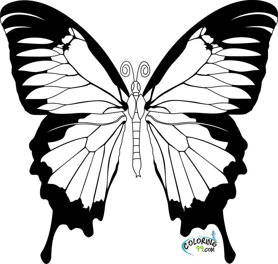ぬりえページ: 蝶 (動物) #15664 - 無料の印刷可能なぬりえページ