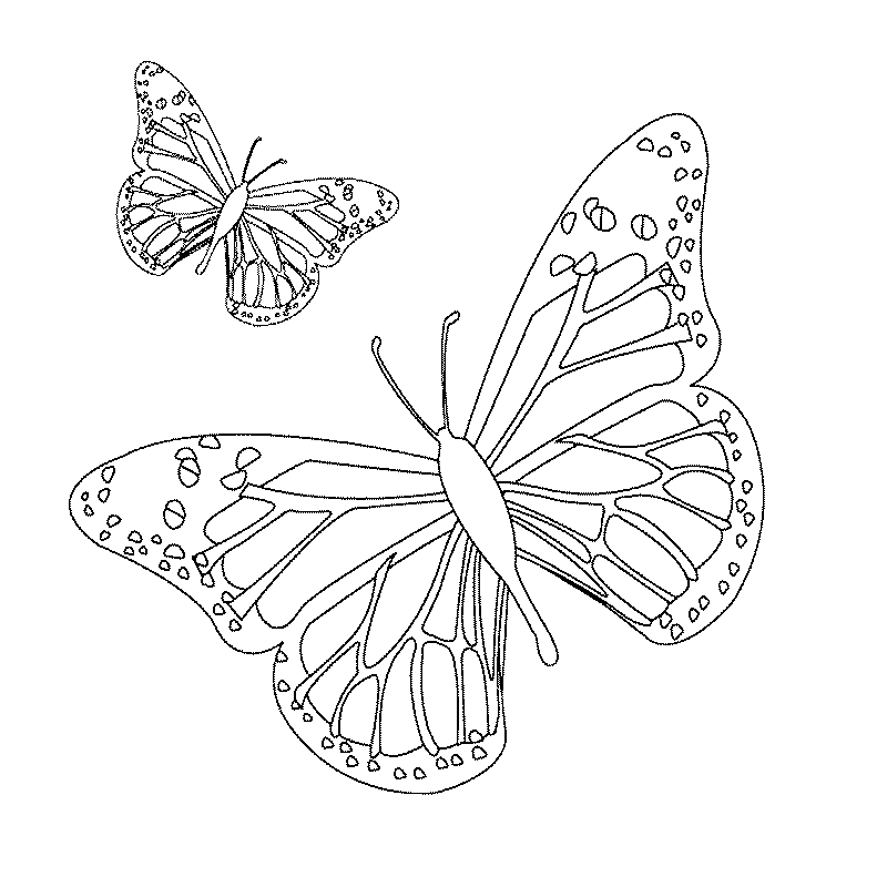 ぬりえページ: 蝶 (動物) #15672 - 無料の印刷可能なぬりえページ