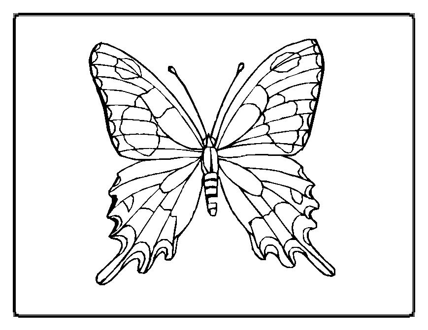ぬりえページ: 蝶 (動物) #15678 - 無料の印刷可能なぬりえページ