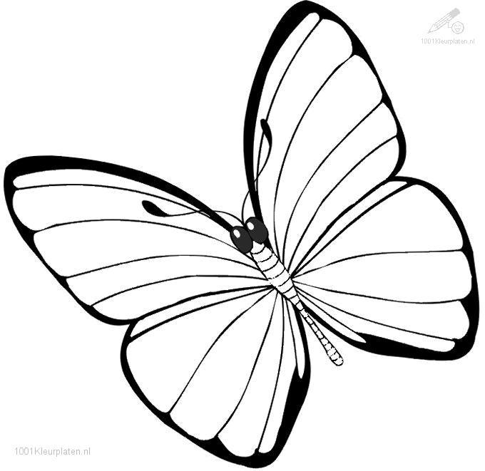 ぬりえページ: 蝶 (動物) #15680 - 無料の印刷可能なぬりえページ