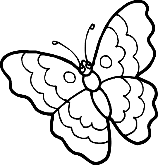 ぬりえページ: 蝶 (動物) #15681 - 無料の印刷可能なぬりえページ