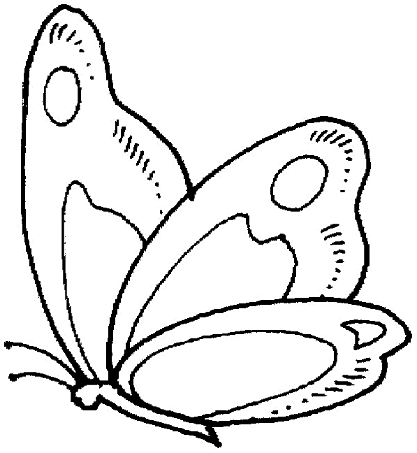 ぬりえページ: 蝶 (動物) #15685 - 無料の印刷可能なぬりえページ
