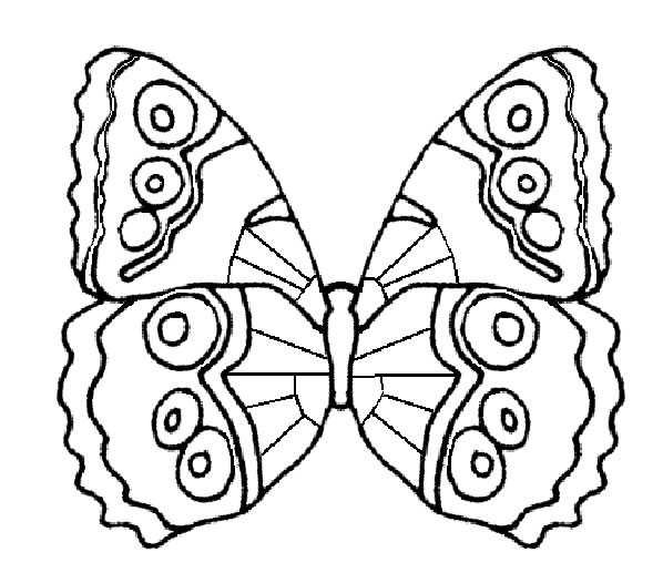ぬりえページ: 蝶 (動物) #15691 - 無料の印刷可能なぬりえページ