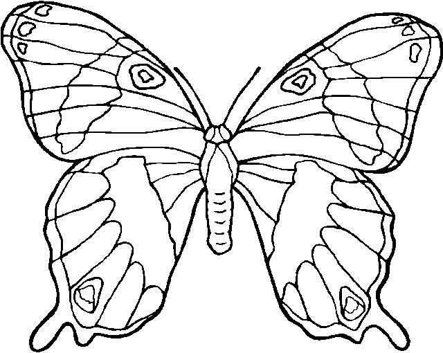 ぬりえページ: 蝶 (動物) #15697 - 無料の印刷可能なぬりえページ