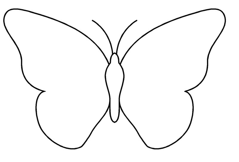 ぬりえページ: 蝶 (動物) #15701 - 無料の印刷可能なぬりえページ