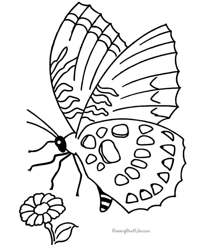 ぬりえページ: 蝶 (動物) #15720 - 無料の印刷可能なぬりえページ
