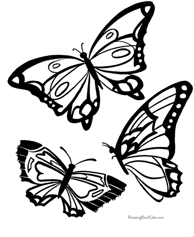 ぬりえページ: 蝶 (動物) #15730 - 無料の印刷可能なぬりえページ