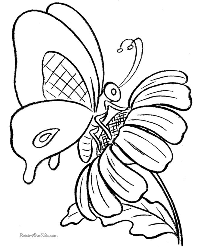 ぬりえページ: 蝶 (動物) #15732 - 無料の印刷可能なぬりえページ