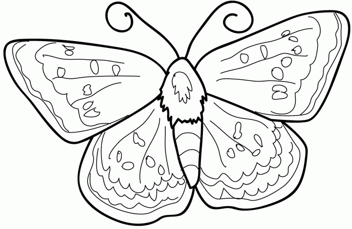 ぬりえページ: 蝶 (動物) #15740 - 無料の印刷可能なぬりえページ