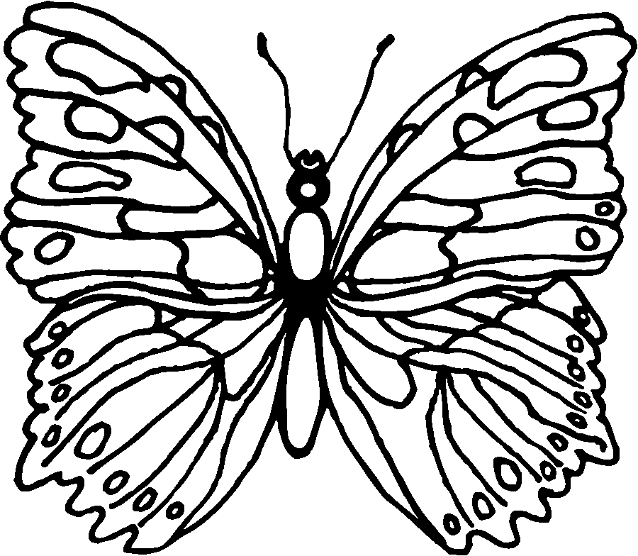 ぬりえページ: 蝶 (動物) #15746 - 無料の印刷可能なぬりえページ