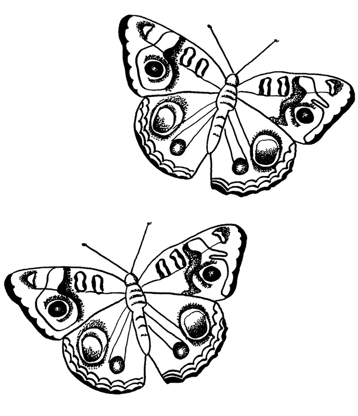 ぬりえページ: 蝶 (動物) #15764 - 無料の印刷可能なぬりえページ