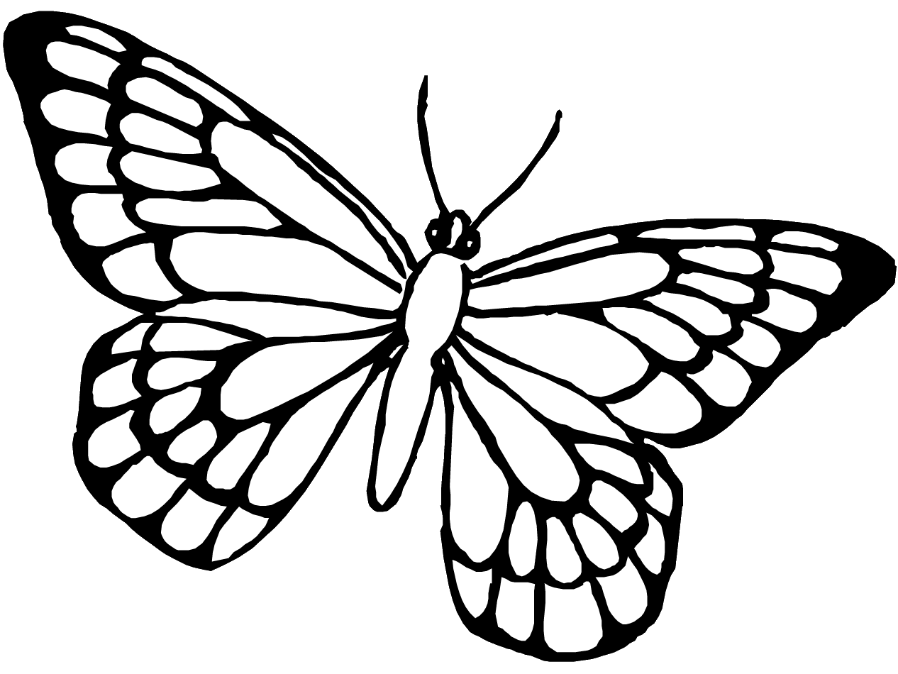 ぬりえページ: 蝶 (動物) #15768 - 無料の印刷可能なぬりえページ