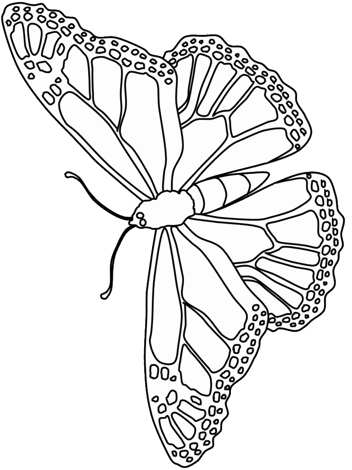 ぬりえページ: 蝶 (動物) #15773 - 無料の印刷可能なぬりえページ