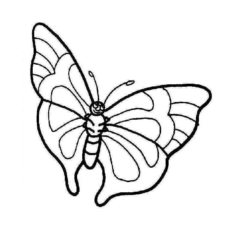 ぬりえページ: 蝶 (動物) #15777 - 無料の印刷可能なぬりえページ