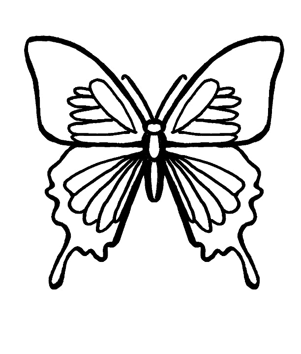 ぬりえページ: 蝶 (動物) #15779 - 無料の印刷可能なぬりえページ