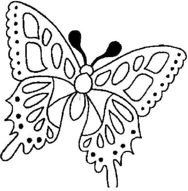ぬりえページ: 蝶 (動物) #15781 - 無料の印刷可能なぬりえページ