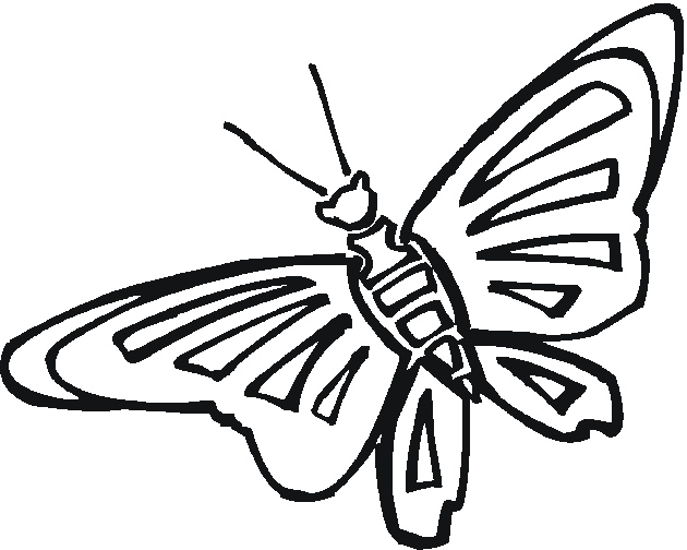 ぬりえページ: 蝶 (動物) #15813 - 無料の印刷可能なぬりえページ