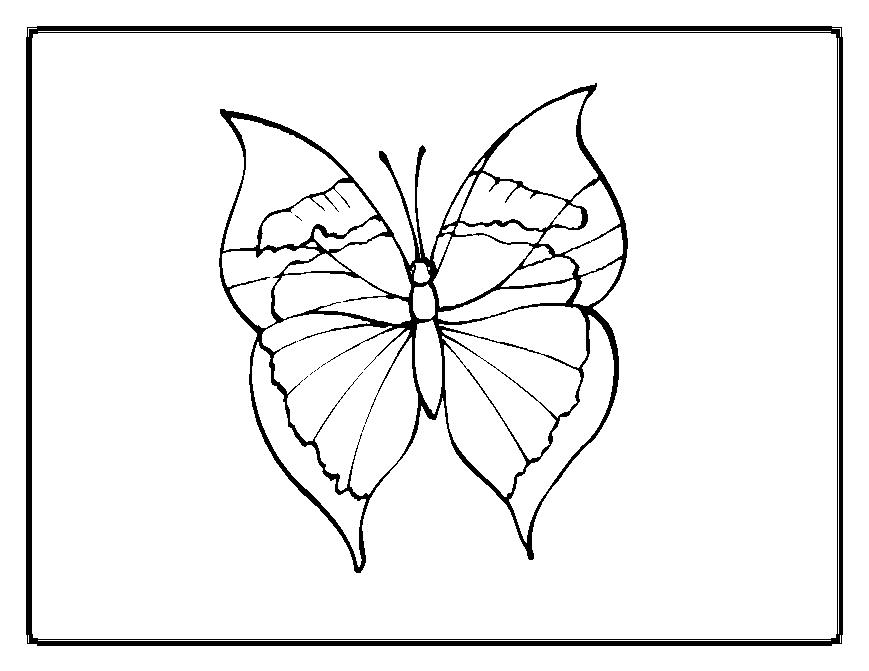 ぬりえページ: 蝶 (動物) #15822 - 無料の印刷可能なぬりえページ